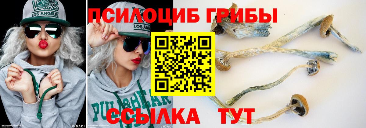 Кокаин  Вход с VPN  МАРИХУАНА  NBOMe  A PVP СК кристаллы  ГАШИШ  Мелеуз  Меф кристаллы 