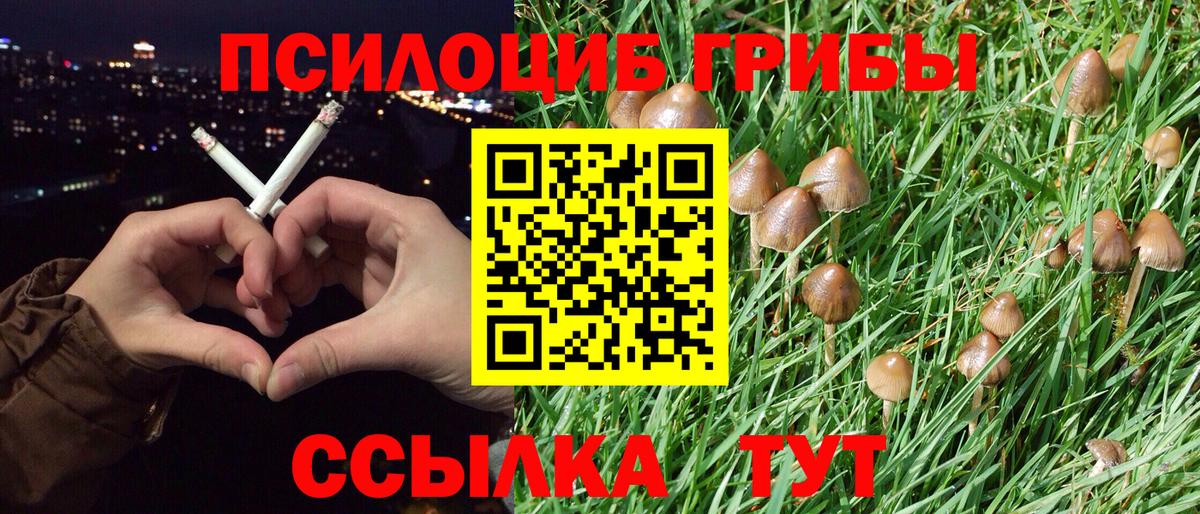 Галлюциногенные грибы мицелий  Псилоцибиновые грибы ЛСД  Мелеуз  цены   Вход с VPN 